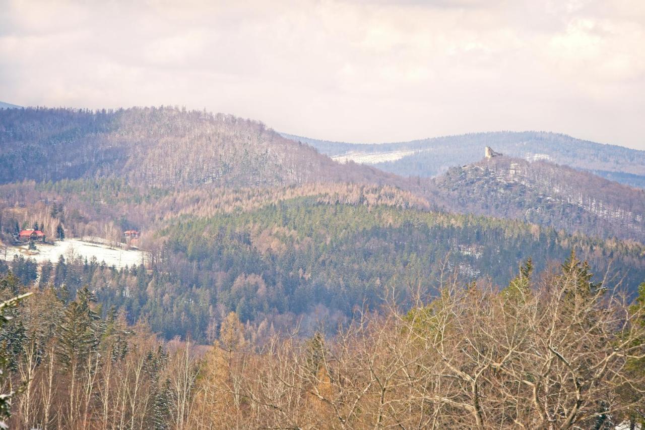 Willa "Sniezna Kopa"-Agroturystyka Pro Zdrowotna Sosnowka (Jelenia Gora) Exterior photo