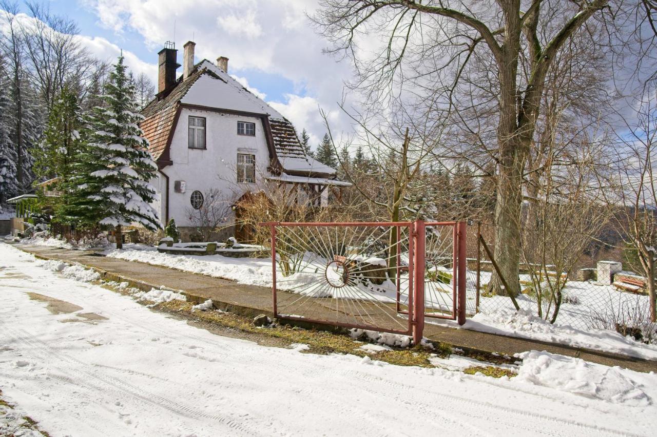 Willa "Sniezna Kopa"-Agroturystyka Pro Zdrowotna Sosnowka (Jelenia Gora) Exterior photo
