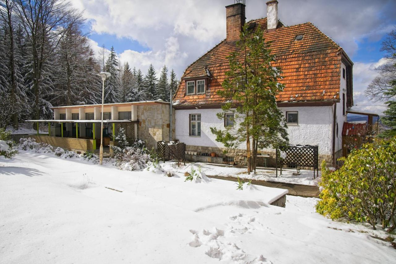 Willa "Sniezna Kopa"-Agroturystyka Pro Zdrowotna Sosnowka (Jelenia Gora) Exterior photo