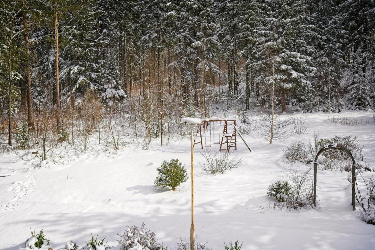 Willa "Sniezna Kopa"-Agroturystyka Pro Zdrowotna Sosnowka (Jelenia Gora) Exterior photo
