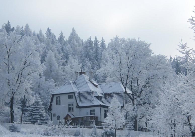 Willa "Sniezna Kopa"-Agroturystyka Pro Zdrowotna Sosnowka (Jelenia Gora) Exterior photo